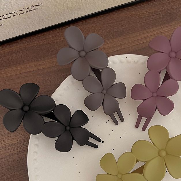 Wonderful Women Hair clips & Hair pins